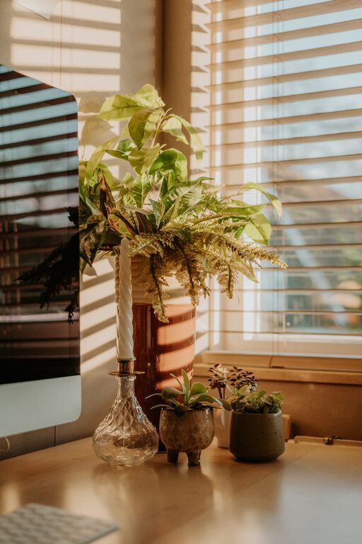 Tips for Creating a Cozy and Productive Home Workspace